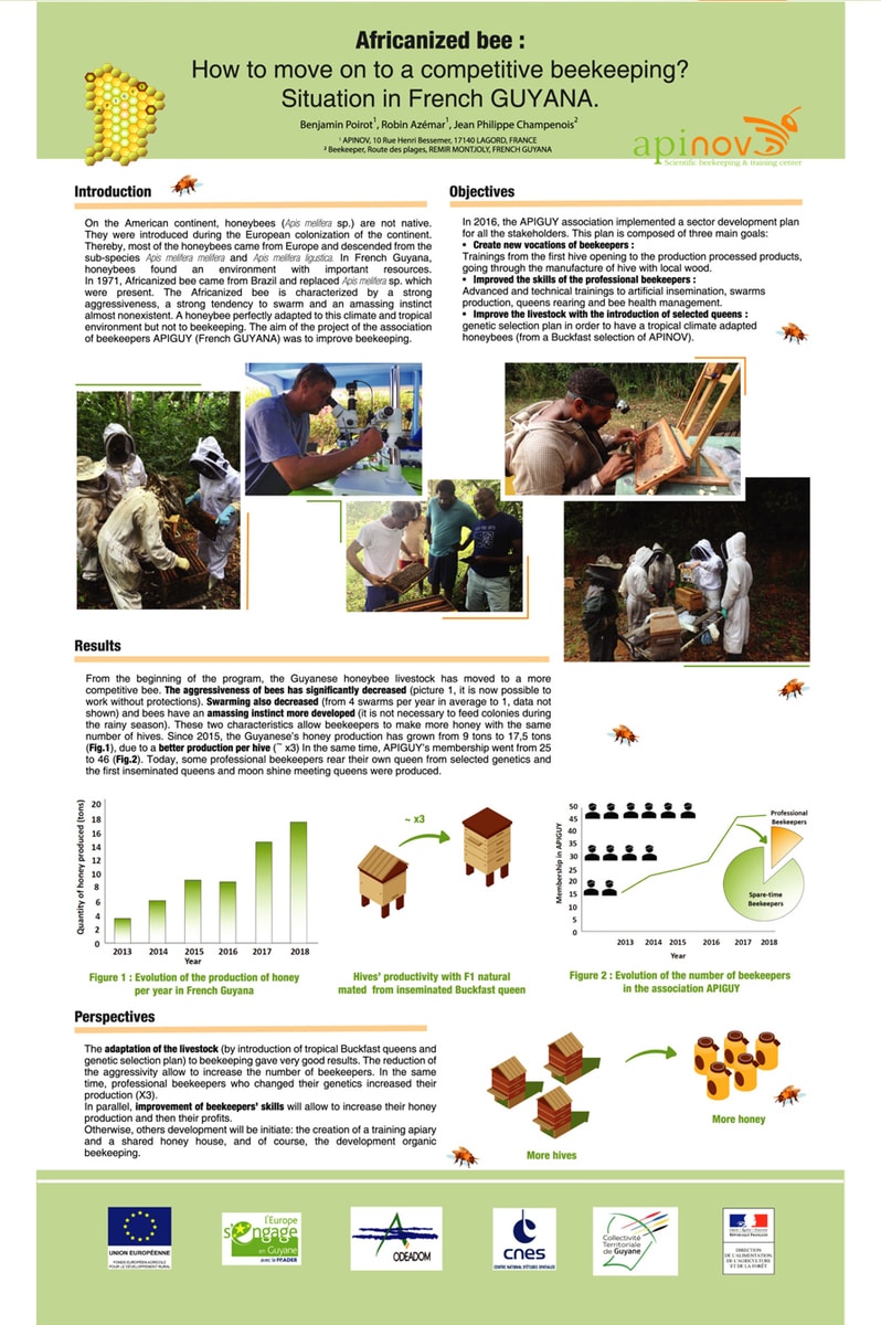 How to move on to a competitive beekeeping ? Situation in French Guyana