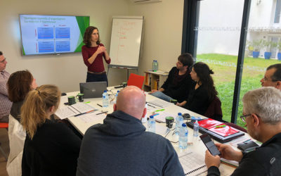 Organisation et planification apicole : Pilotez votre entreprise avec sérénité