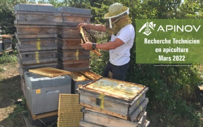 [Actu Offre d’emploi ] – Technicien en apiculture Apinov (H/F)
