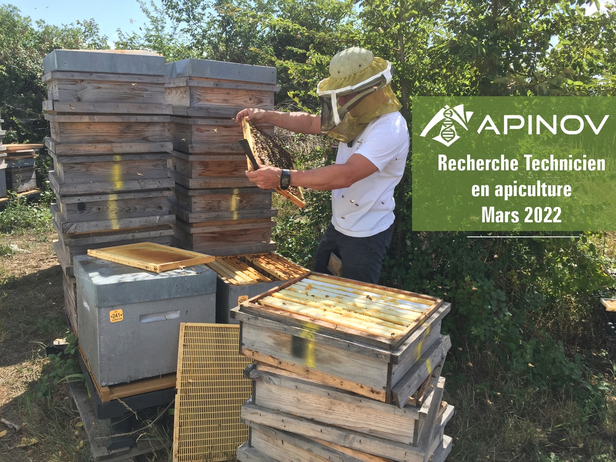 L'apiculteur : Le métier de producteur de miel