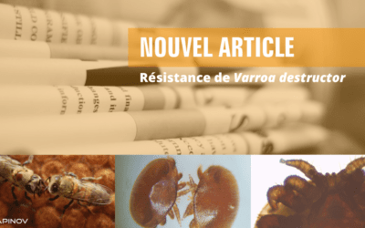 Nouvel article au sujet de la résistance des varroas