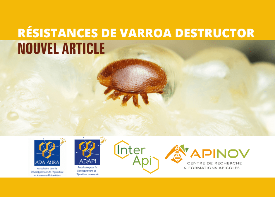 Projet d’étude sur les résistances de Varroa aux acaricides : des solutions pour les apiculteurs