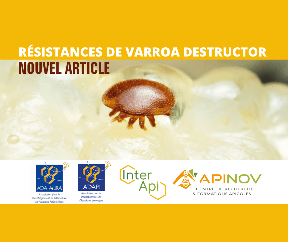 Ericetion Pot De Test D'acariens Varroa Pour Contrôle De