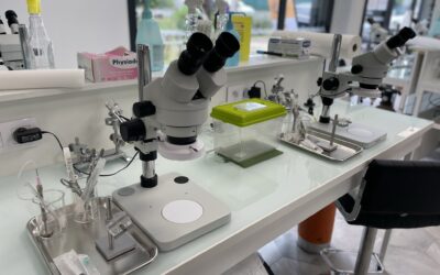 Perfectionnement à l’insémination