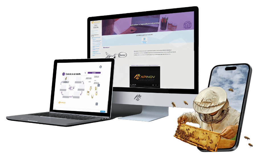 Formation apiculture en ligne