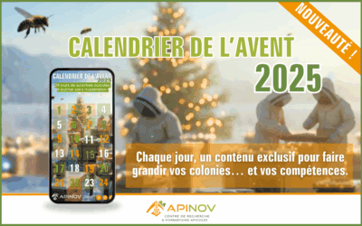 Calendrier de l’avent apiculture